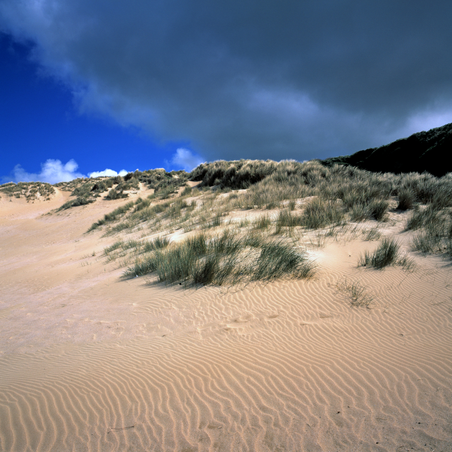 Crantock Dunes